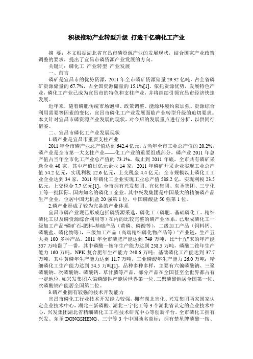 积极推动产业转型升级 打造千亿磷化工产业