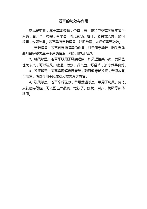 苍耳的功效与作用