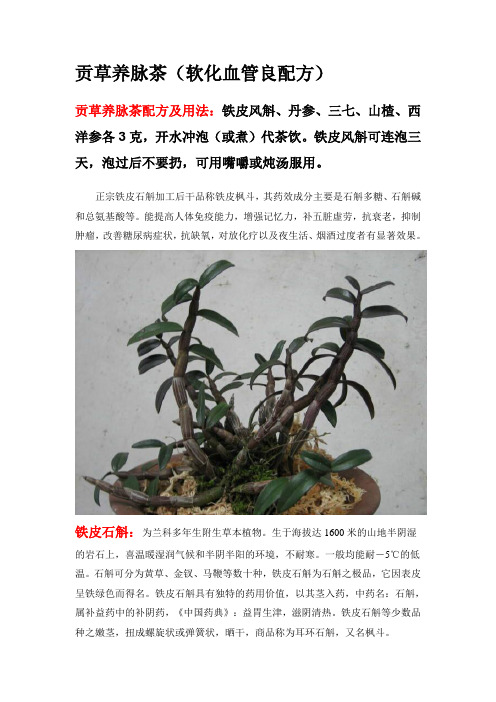 贡草养脉茶(软化血管良配方)