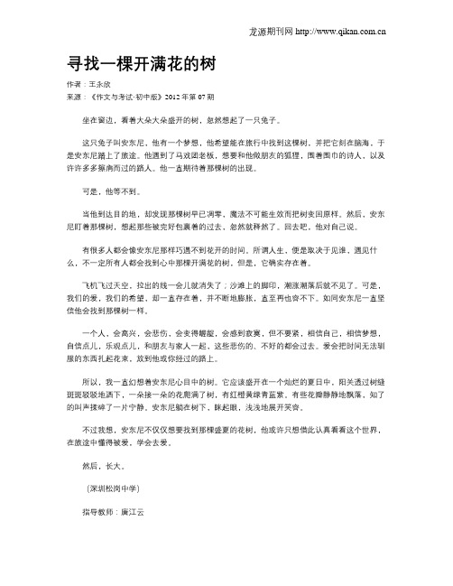 寻找一棵开满花的树