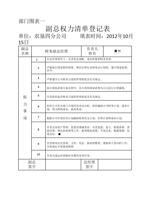 财务副总权力清单登记表