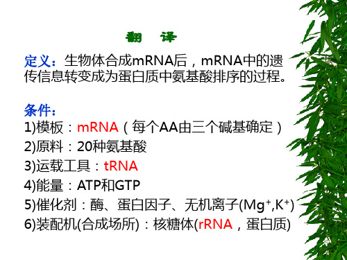 蛋白质合成及转运PPT通用课件.ppt