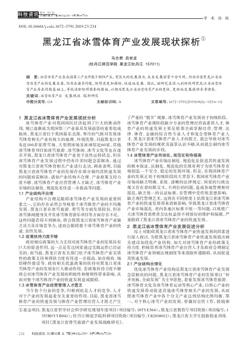 黑龙江省冰雪体育产业发展现状探析