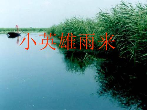 四年级下册语文优秀课件414《小英雄雨来》人教新课标 (共21张PPT)