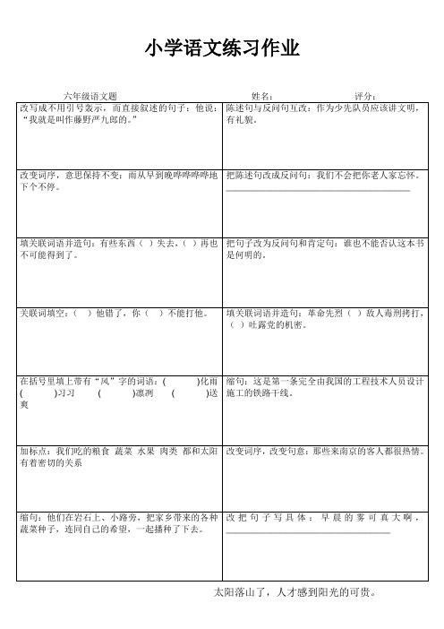 小学六年级语文素养提升练习24 (105)