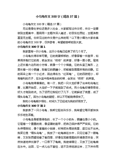 小乌龟作文300字（精选37篇）