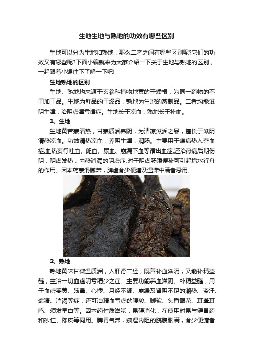 生地生地与熟地的功效有哪些区别