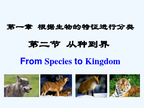 新人教版生物八年级上册第一章根据生物的特征进行分类第二节从种到界精品公开课PPT课件