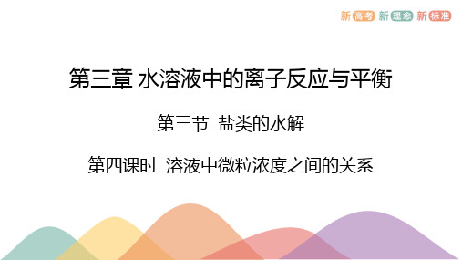 3.3.4溶液中微粒浓度之间的关系  课件  高二上学期化学人教版(2019)选择性必修1