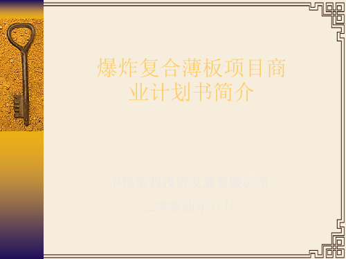 某投资公司项目商业计划书(ppt 13页)