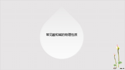 中考鲁教版九年级化学下册常见酸碱盐物理性质