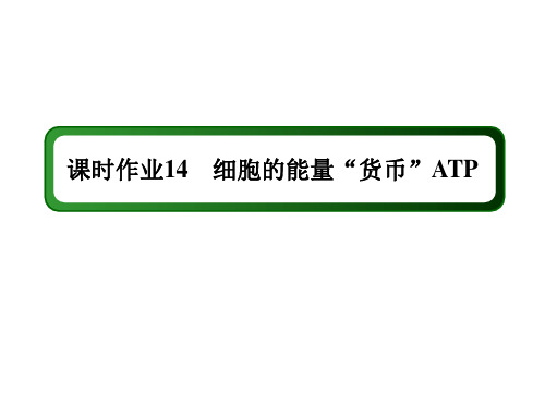 2020-2021学年高中生物新教材人教版必修1：5-2 细胞的能量“货币”ATP 1