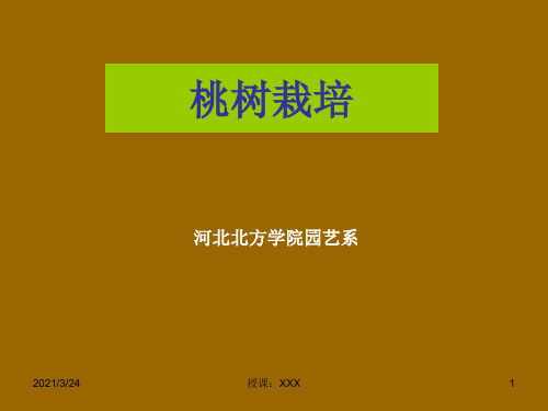 5  桃栽培技术PPT课件