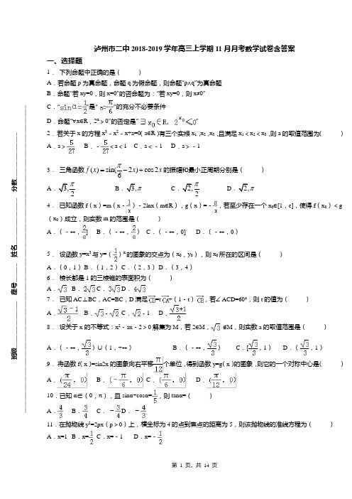 泸州市二中2018-2019学年高三上学期11月月考数学试卷含答案