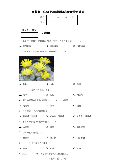 粤教版一年级上册科学期末质量检测试卷