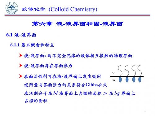 第六章  液-液界面和固-液界面