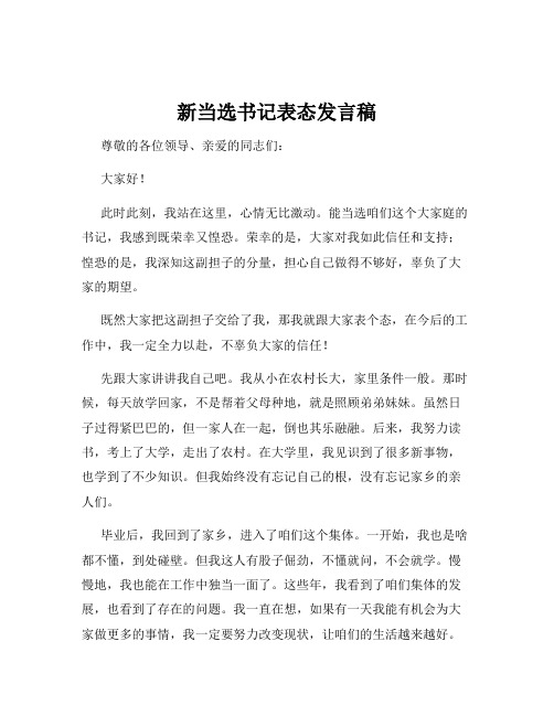 新当选书记表态发言稿