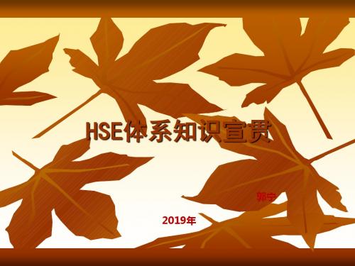 HSE体系知识宣贯压制 共96页