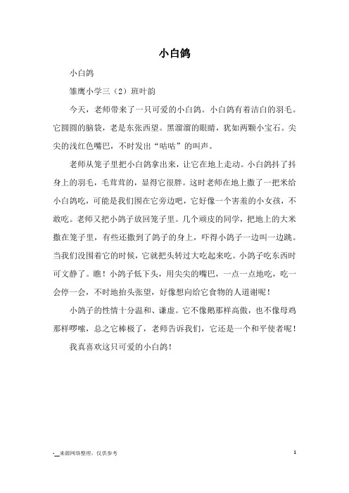 小白鸽_小学三四年级状物