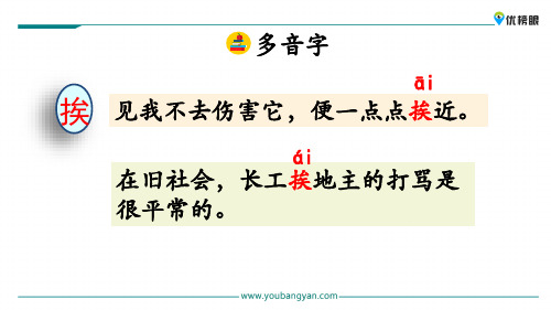 (新课标解读)2020版语文专题 三年级上册语文课件 4 珍珠鸟新课标改编版_6-10