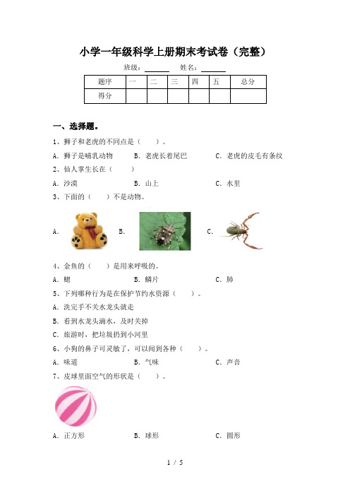 小学一年级科学上册期末考试卷(完整)