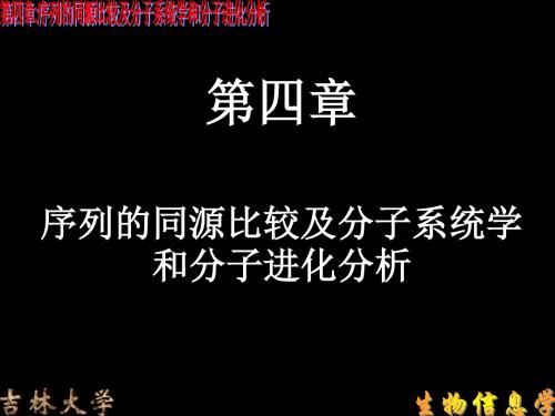 第四章、序列的同源比较及分子系统学和分子进化分析1