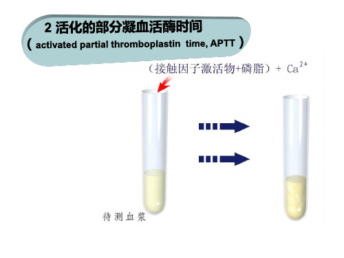 脑脊液与浆膜腔穿刺液检查