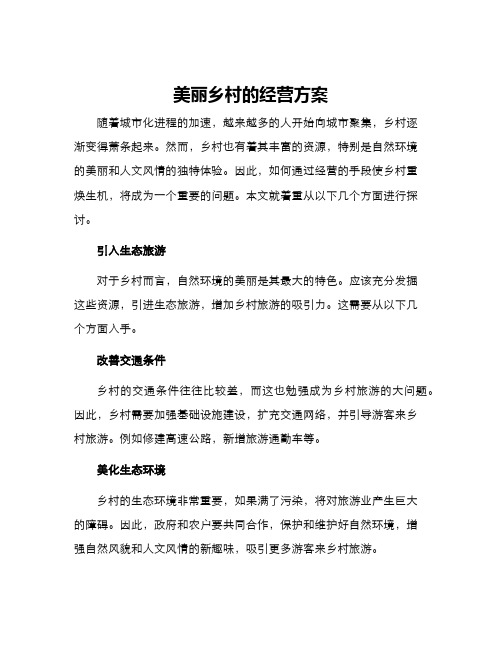 美丽乡村的经营方案