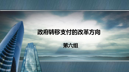 政府转移支付(最终版新)讲解