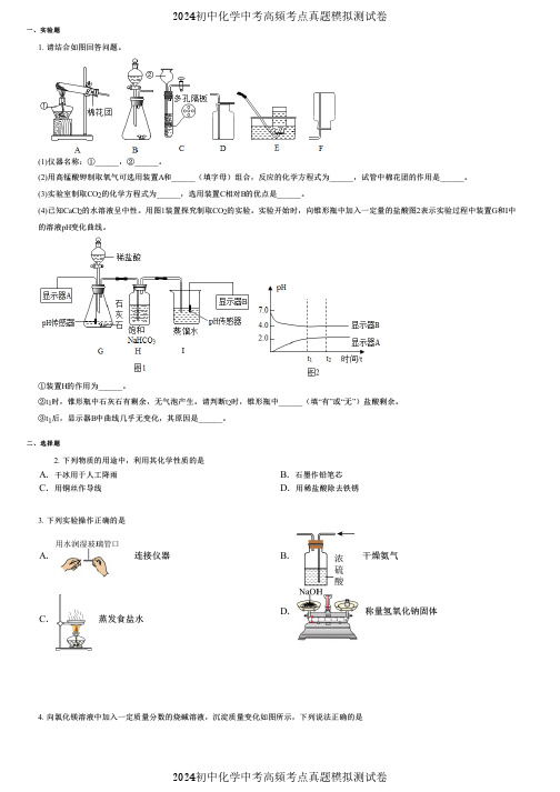 2024初中化学中考高频考点真题模拟测试卷 (3263)