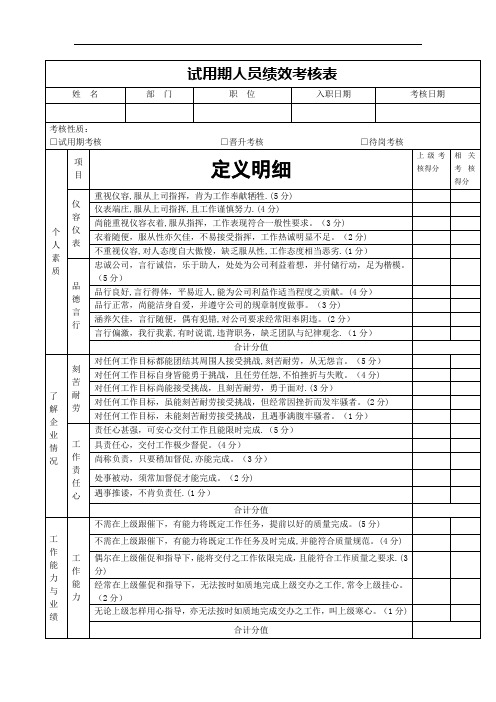 某公司试用期人员绩效考核表--ha_ha