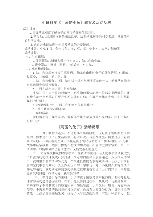 小班科学《可爱的小兔》教案及活动反思