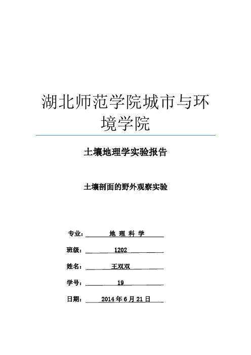 土壤剖面观察试验报告