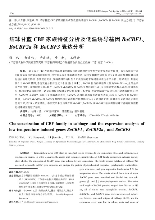 结球甘蓝CBF_家族特征分析及低温诱导基因BoCBF1、BoCBF2a_和BoCBF3_表达分析