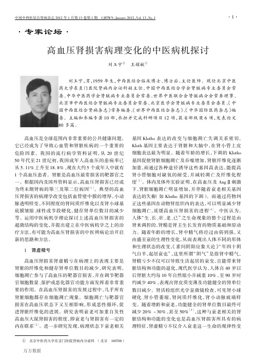 高血压肾损害病理变化的中医病机探讨