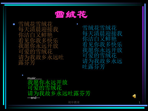 人教版新目标九年级英语Unit 6 定语从句系统讲解课件