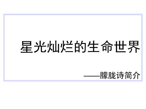 朦胧诗简介