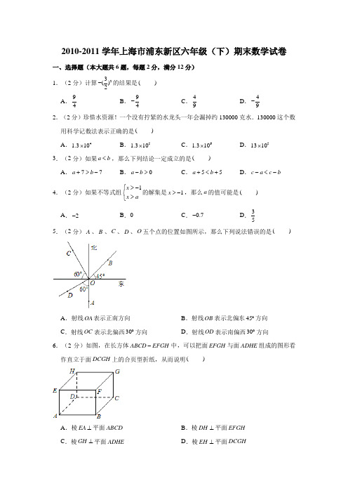 2010-2011学年上海市浦东新区六年级(下)期末数学试卷