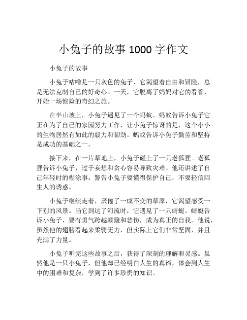 小兔子的故事1000字作文