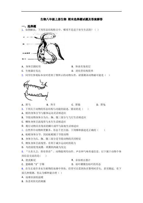 生物八年级上册生物 期末选择题试题及答案解答