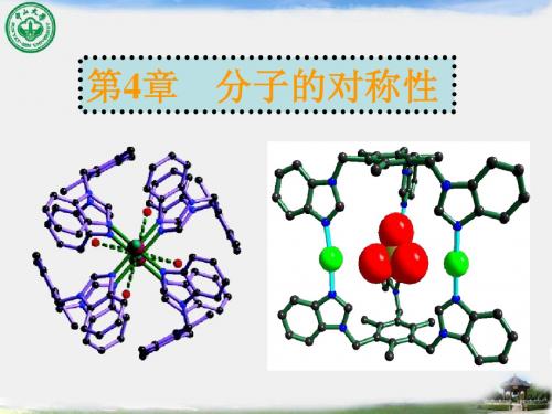 分子的对称性