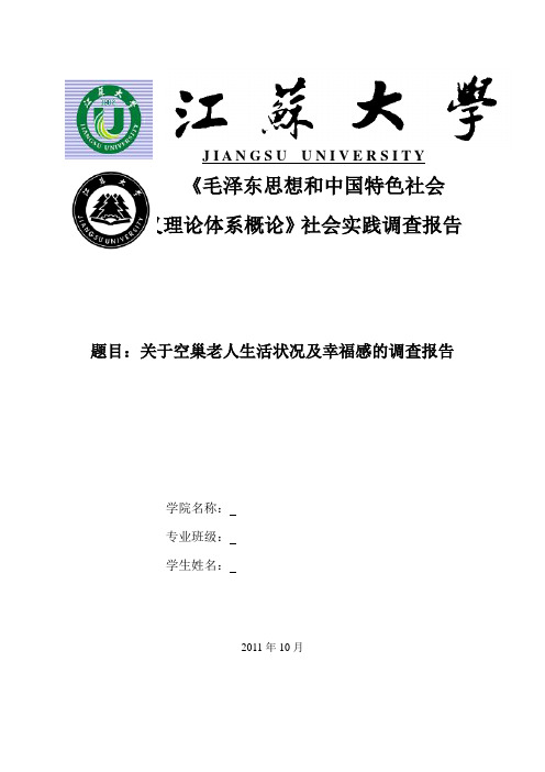 关于空巢老人生活状况及幸福感的调查报告(1)