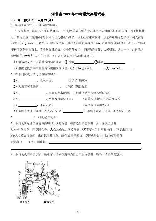 河北省2020年中考语文真题试卷(含答案)