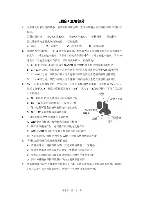 理综4生物部分支原体是目前发现的最小最简单的原核生物