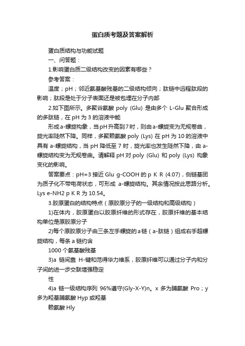 蛋白质考题及答案解析