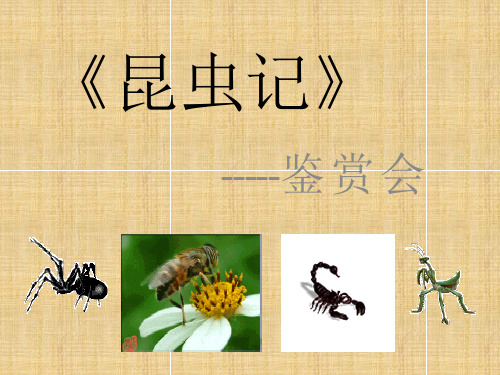 《昆虫记》PPT