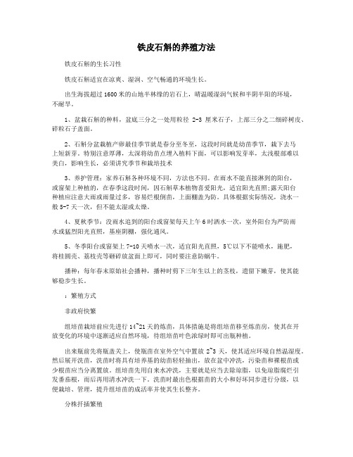 铁皮石斛的养殖方法