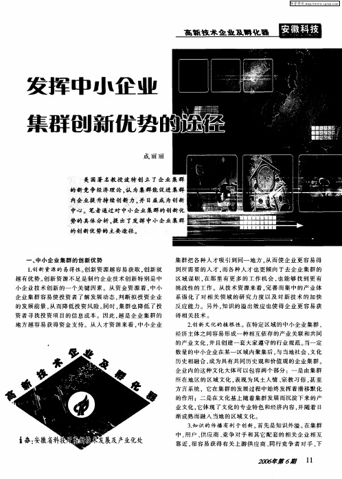 发挥中小企业集群创新优势的途径