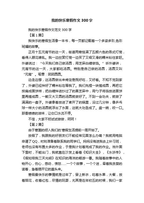 我的快乐寒假作文300字