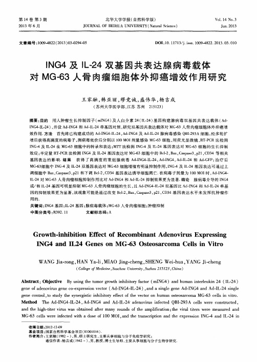 ING4及IL-24双基因共表达腺病毒载体对MG-63人骨肉瘤细胞体外抑癌增效作用研究